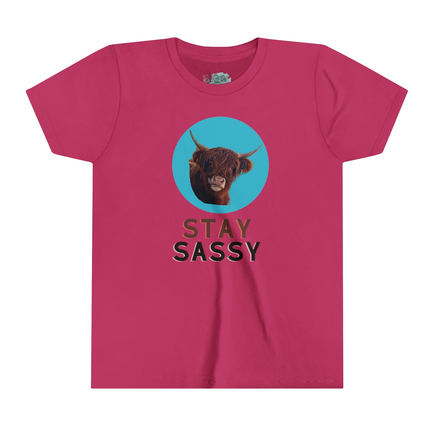 Stay Sassy Highland Youth Tee